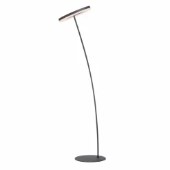 Stehlampen|Paul Neuhaus LED-Stehlampe Titus Anthrazit