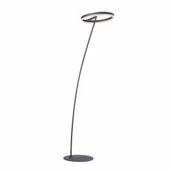 Stehlampen|Paul Neuhaus LED-Stehlampe Titus Anthrazit
