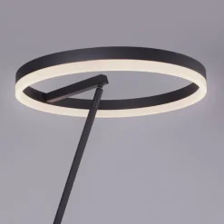 Stehlampen|Paul Neuhaus LED-Stehlampe Titus Anthrazit