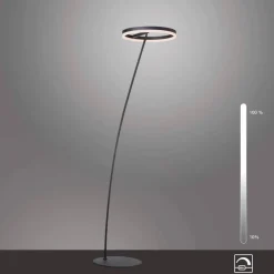 Stehlampen|Paul Neuhaus LED-Stehlampe Titus Anthrazit