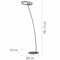 Stehlampen|Paul Neuhaus LED-Stehlampe Titus Anthrazit