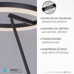 Stehlampen|Paul Neuhaus LED-Stehlampe Titus Anthrazit