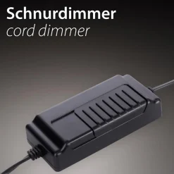 Stehlampen|Paul Neuhaus LED-Stehlampe Titus Anthrazit