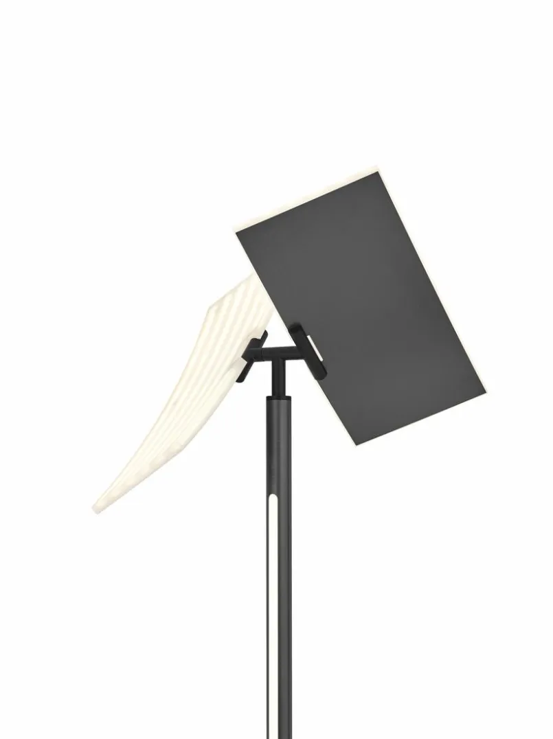Hell Stehlampen-LED-Stehlampe Twice Anthrazit