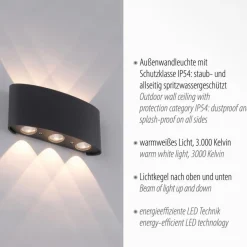 LED-Wandleuchte Carlo<Paul Neuhaus Sale
