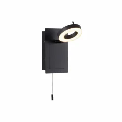 Paul Neuhaus Spots & Strahle|Wandleuchten-LED-Wandleuchte Sileda Anthrazit