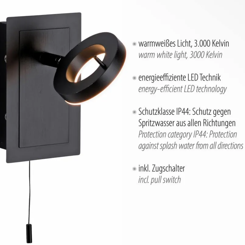 Paul Neuhaus Spots & Strahle|Wandleuchten-LED-Wandleuchte Sileda Anthrazit