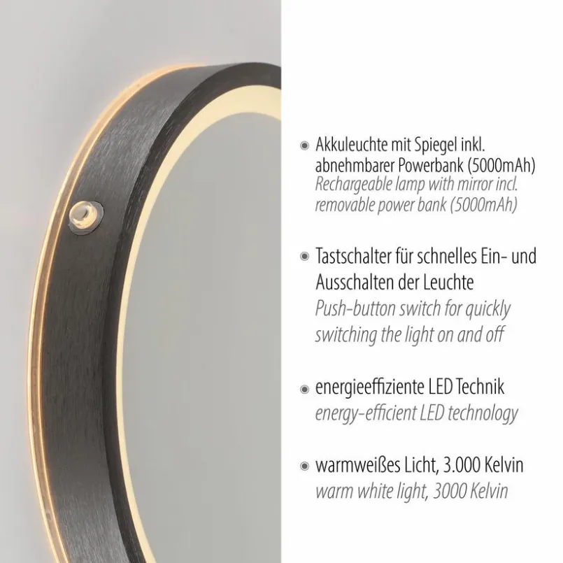 Wandspiegel|Paul Neuhaus LED-Wandspiegel Vidro Grau
