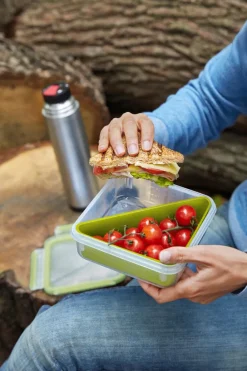 Lunchboxes|Vorratsdosen|emsa Lunchbox Clip&Go 850 ml Grün