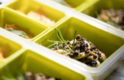 emsa Lunchboxes|Vorratsdosen-Lunchbox Clip&Go 1200 ml Grün