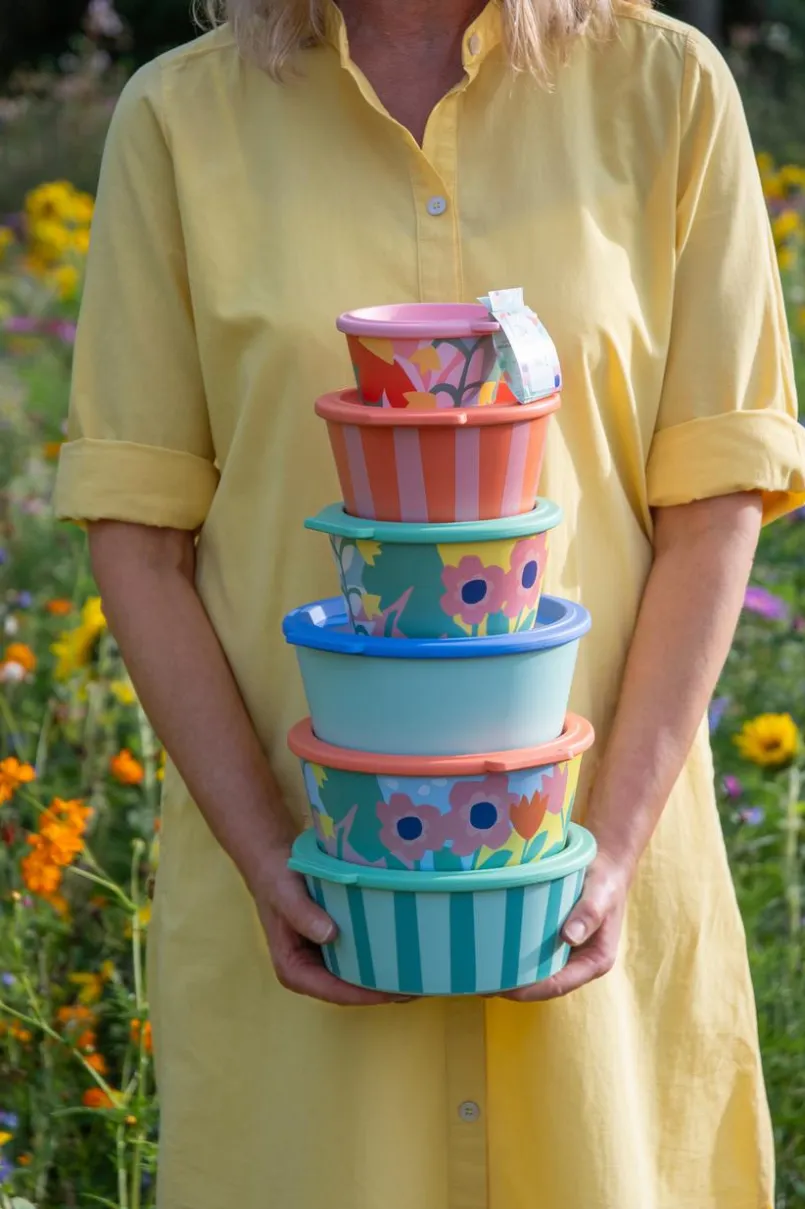Koziol Lunchboxes|Vorratsdosen-Lunchbox Nora Blooms 250 ml Pink