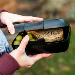 Koziol Vorratsdosen|Lunchboxes-Lunchbox Pascal L Grau