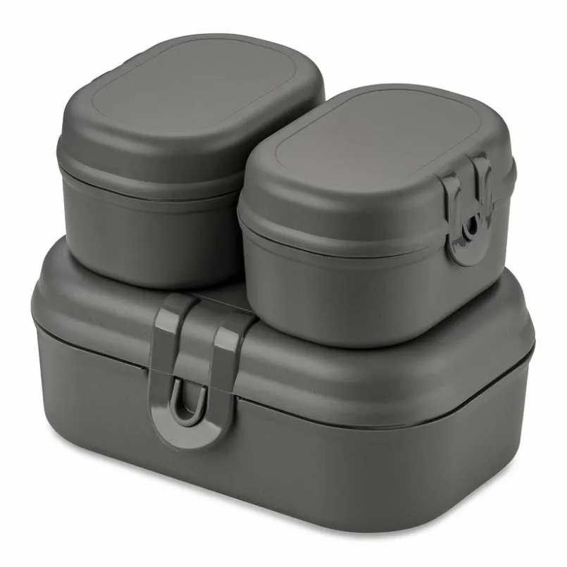 Koziol Vorratsdosen|Lunchboxes-Lunchbox Pascal Ready 3tlg. Grau