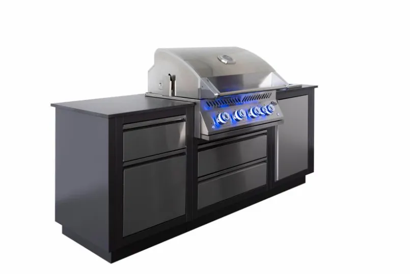 Napoleon Napoleon Grills & Grillzubehör-Outdoorküche Oasis Compact BIG 32