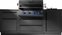 Napoleon Grills & Grillzubehör|Gasgrills|Napoleon Outdoorküche OASIS™ Compact 105 Matt