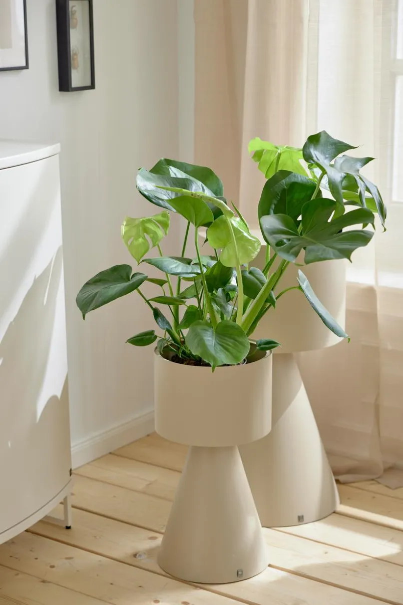 Blumenständer|Musterring Pflanzenständer JustB! Kaschmir