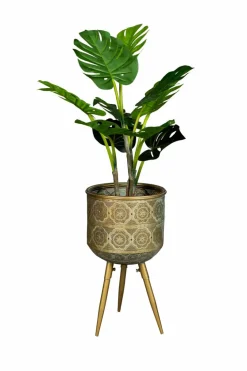 Zuiver Pflanzenkübel & Blumentöpfe-Pflanzkübel Botanique Gold