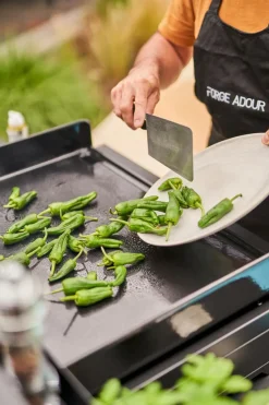 Elektrogrills|Forge Adour Plancha Premium Elektro Plancha 45 Schwarz / Grau