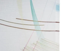Gözze Vorhänge & Gardinen-Schiebevorhang Galileo 60 x 245 cm Bunt