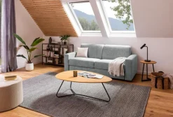 Schlafsofas|Schlafsofas-Schlafsofa 0255 Frost Grey