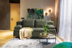 Schlafsofas-Schlafsofa Farina Grün