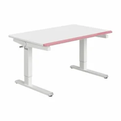 Kinder- & Jugendschreibtische|Kinder- & Jugendschreibtische|Paidi Schreibtisch Teenio 120 Rose