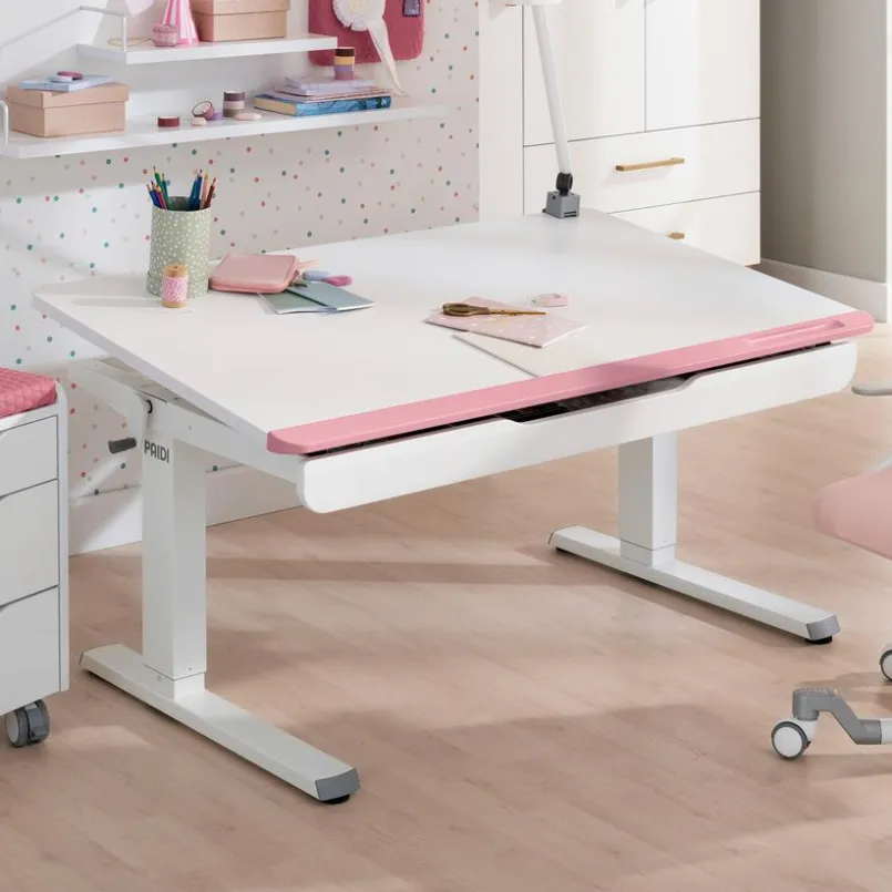Kinder- & Jugendschreibtische|Kinder- & Jugendschreibtische|Paidi Schreibtisch Teenio 120 Rose