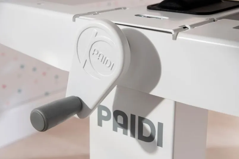 Kinder- & Jugendschreibtische|Kinder- & Jugendschreibtische|Paidi Schreibtisch Teenio 120 Rose