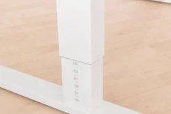 Kinder- & Jugendschreibtische|Kinder- & Jugendschreibtische|Paidi Schreibtisch Teenio 120 Rose
