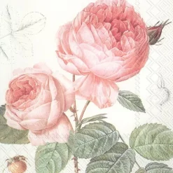 Tischwäsche|Tischwäsche-Serviette Elisabeth 20tlg. Rosa