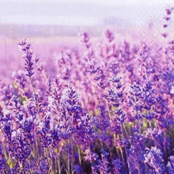 Tischwäsche|Tischwäsche| Serviette Field of Lavender 20tlg. Lila