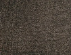 Sessel 0318<Bullfrog New