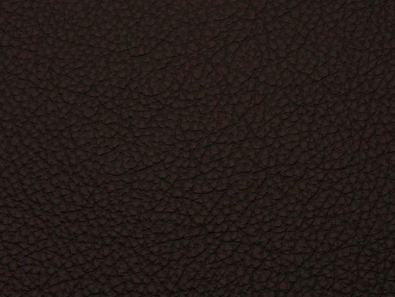 Nordic Collection Sessel|Stühle-Sessel Andrup Dark Brown