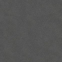 Musterring Sessel-Sessel MR 261 Graphit