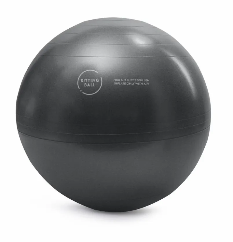 Bürostühle|Sitting Point Sitzball Samt Uni Rose