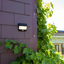 Lutec Außenwandleuchten|Led-Solarleuchten-Solar-Außenwandleuchte Try Schwarz