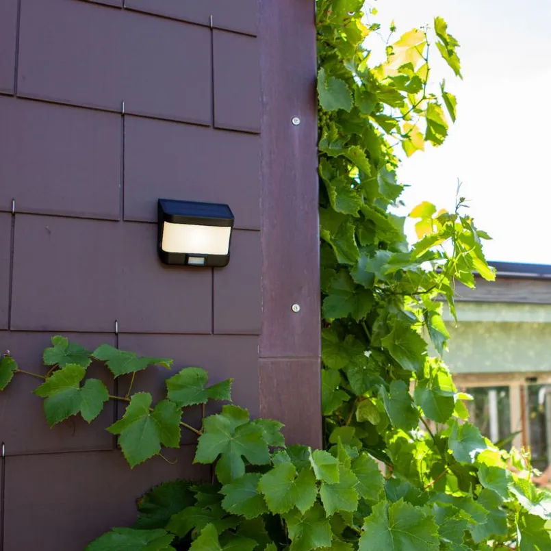 Lutec Außenwandleuchten|Led-Solarleuchten-Solar-Außenwandleuchte Try Schwarz