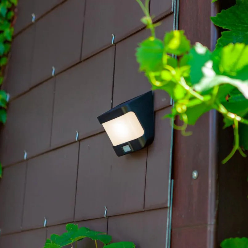 Lutec Außenwandleuchten|Led-Solarleuchten-Solar-Außenwandleuchte Try Schwarz