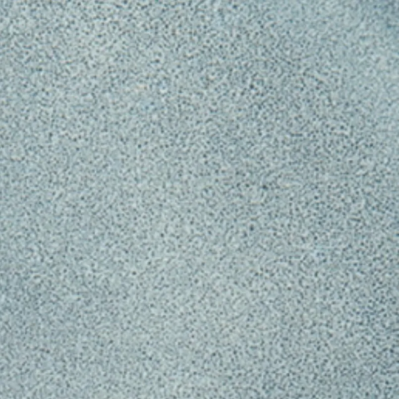 Speiseteller Saisons Ø 26,5 cm<ASA Selection Clearance