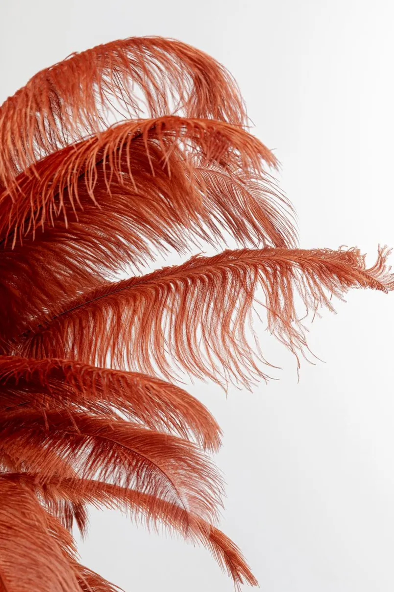 Stehlampen|KARE DESIGN Stehlampe Feather Palm Rot