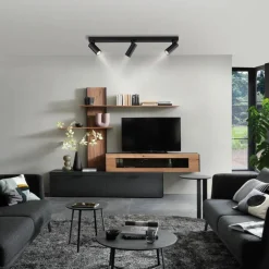 SCHÖNER WOHNEN-Kollektion Spots & Strahle-Strahler Rik Schwarz