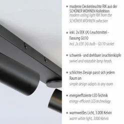 SCHÖNER WOHNEN-Kollektion Spots & Strahle-Strahler Rik Schwarz
