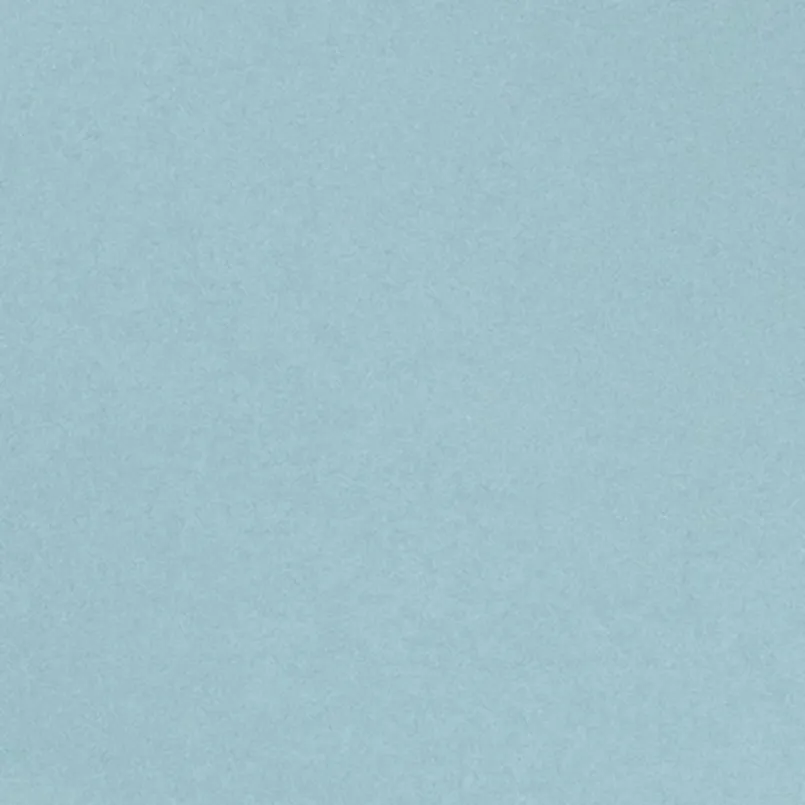 Geschirr-Suppenteller Basic Ø 22 cm Hellblau