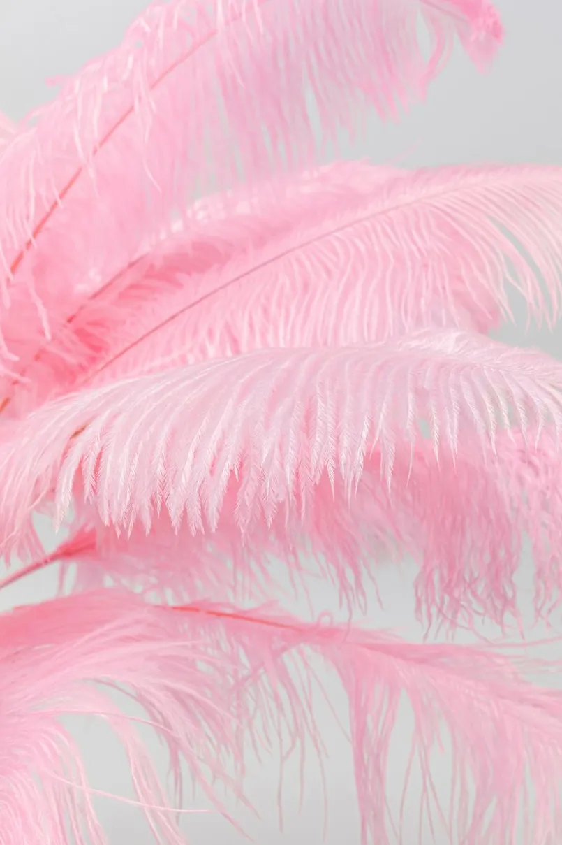 KARE DESIGN Tischlampen-Tischleuchte Feather Palm Rosa