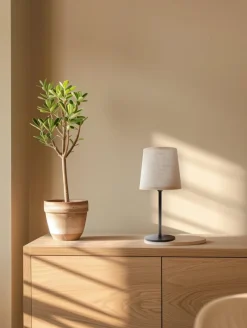 Tischlampen|Eco-Light Tischleuchte Pegasus Silber / Natur