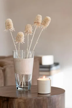 DAHEIM Vasen|Vasen-Vase Delph 35 cm Beige