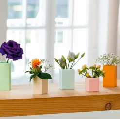Remember Vasen|Vasen-Vase Mini 5tlg. Bunt