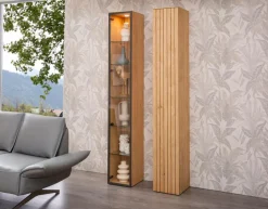 Boegner Vitrinen|Vitrinen-Vitrine Jenga Asteiche