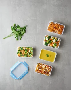 Lunchboxes|Vorratsdosen|emsa Vorratsdose Clip&Close 5tlg. Blau