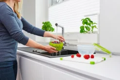 Lunchboxes|Vorratsdosen|emsa Vorratsdose Fruitbowl 1000 ml Grün